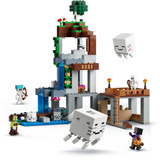 LEGO 21597, Juegos de construcción 