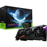 MSI V531-069R, Tarjeta gráfica 