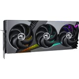 MSI V531-069R, Tarjeta gráfica 