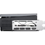 MSI V531-069R, Tarjeta gráfica 