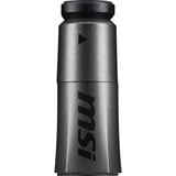MSI V531-069R, Tarjeta gráfica 