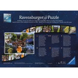 Ravensburger 17147 puzzle Puzzle rompecabezas 1000 pieza(s) Televisión/películas 1000 pieza(s), Televisión/películas, 12 año(s)