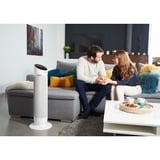 Rowenta Silent Comfort 3-in-1 HQ8120F0 calefactor eléctrico Interior Plata 2400 W Ventilador eléctrico, Termoventiladores blanco, Ventilador eléctrico, China, 1,9 m, IP20, Interior, Piso