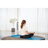 Rowenta Silent Comfort 3-in-1 HQ8120F0 calefactor eléctrico Interior Plata 2400 W Ventilador eléctrico, Termoventiladores blanco, Ventilador eléctrico, China, 1,9 m, IP20, Interior, Piso