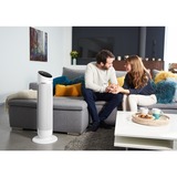 Rowenta Silent Comfort 3-in-1 HQ8120 Interior Plata 2400 W Ventilador eléctrico, Termoventiladores blanco, Ventilador eléctrico, 1,9 m, IP20, Interior, Piso, Plata
