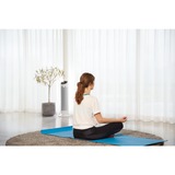 Rowenta Silent Comfort 3-in-1 HQ8120 Interior Plata 2400 W Ventilador eléctrico, Termoventiladores blanco, Ventilador eléctrico, 1,9 m, IP20, Interior, Piso, Plata