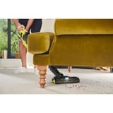 Ryobi RSV18BL-0, Aspirador vertical verde