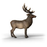 Schleich Wild Life Ciervo Rojo Americano, Muñecos 