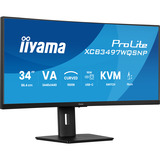 iiyama XCB3497WQSNP-B1, Monitor LED negro (mate)