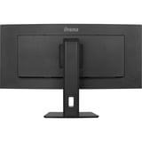 iiyama XCB3497WQSNP-B1, Monitor LED negro (mate)