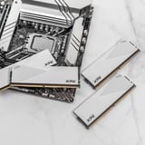 ADATA LANCER módulo de memoria 64 GB 2 x 32 GB DDR5 ECC, Memoria RAM blanco, 64 GB, 2 x 32 GB, DDR5, 6000 MHz, 288-pin DIMM, Blanco