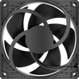 ARCTIC P9 Silent Carcasa del ordenador Ventilador 9,2 cm Negro 1 pieza(s) Ventilador, 9,2 cm, 40,7 m³/h, Negro
