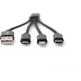 Digitus DB-300160-002-S, Cable negro
