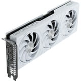 Palit GeForce RTX 5070 OC WHITE, Tarjeta gráfica 