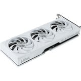 Palit GeForce RTX 5070 OC WHITE, Tarjeta gráfica 
