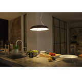 Philips Hue White Ambiance Amaze Lámpara colgante, Luz de LED negro