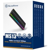 SilverStone MS13, Caja de unidades negro