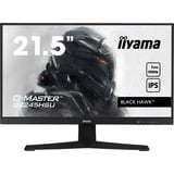 iiyama G-MASTER G2245HSU-B2 pantalla para PC 54,6 cm (21.5") 1920 x 1080 Pixeles Full HD LED Negro, Monitor de gaming negro (mate), 54,6 cm (21.5"), 1920 x 1080 Pixeles, Full HD, LED, 1 ms, Negro