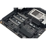 ASUS PRO WS TRX50-SAGE WIFI A AMD TRX50 Socket sTR5 CEB, Placa base negro/Gris, AMD, Socket sTR5, AMD Ryzen Threadripper 7000 Series, AMD Ryzen Threadripper PRO 7000 WX-Series, Socket sTR5, DDR5-SDRAM, DIMM