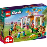 LEGO 41746, Juegos de construcción 