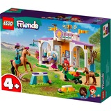 LEGO 41746, Juegos de construcción 