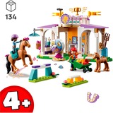 LEGO 41746, Juegos de construcción 