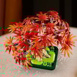 LEGO Botanicals Bonsái de Arce Rojo Japonés, Juegos de construcción Juego de construcción, 18 año(s), Plástico, 474 pieza(s), 665 g