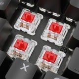 Sharkoon SKILLER SGK36W, Teclado para gaming negro