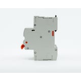Shelly Pro 2CB C10, Copia de seguridad gris