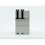 Shelly Pro 2CB C10, Copia de seguridad gris
