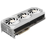 ZOTAC ZT-B50800J-10P, Tarjeta gráfica 