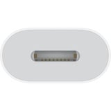 Apple Adaptador USB, conector USB-C > conector Lightning blanco