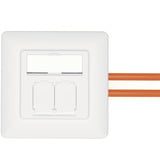 Digitus Toma de datos CAT.6A, empotrada, apantallada, 2x RJ-45 LSA, Caja de conexiones blanco