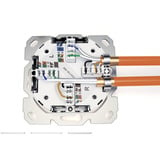 Digitus Toma de datos CAT.6A, empotrada, apantallada, 2x RJ-45 LSA, Caja de conexiones blanco