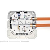 Digitus Toma de datos CAT.6A, empotrada, apantallada, 2x RJ-45 LSA, Caja de conexiones blanco