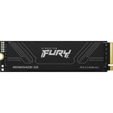 Kingston SFYR2S/1T0, Unidad de estado sólido negro