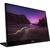 Lenovo M16(A25160WX0), Monitor LED negro