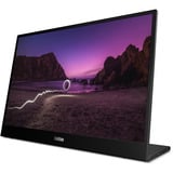 Lenovo M16(A25160WX0), Monitor LED negro