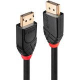 Lindy 41079, Cable negro