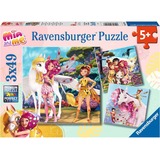 Ravensburger 05701, Puzzle