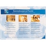 Ravensburger RAV Puzzle Märchenschloss in 4 Jahresz.| 16137 18000 pieza(s) 18000 pieza(s), 14 año(s)