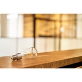 Shelly Vintage ST64, Lámpara LED 