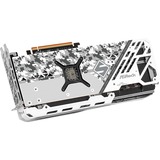 ASRock 90-GA4PZZ-00UANF, Tarjeta gráfica 