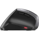 CHERRY MW 4500 ratón Izquierda RF inalámbrico Óptico 1200 DPI negro, Izquierda, Óptico, RF inalámbrico, 1200 DPI, Negro, Gris