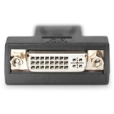 Digitus Adaptador DisplayPort negro, DP, DVI-I, (24+5), Negro