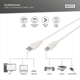 Digitus Cable de conexión USB 2.0 USB-A (enchufe) > USB-B (enchufe) beige