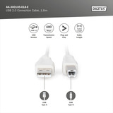 Digitus Cable de conexión USB 2.0 USB-A (enchufe) > USB-B (enchufe) beige