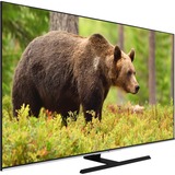 JVC LT-65VU8155, Televisor LED negro