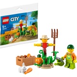 LEGO 30590, Juegos de construcción