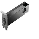 PNY NVIDIA RTX PRO 2000 Blackwell Generation 16GB PB, Tarjeta gráfica A granel